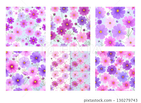 秋季花卉圖案背景（無縫），散佈著粉紅色和紫色的波斯菊 130279743
