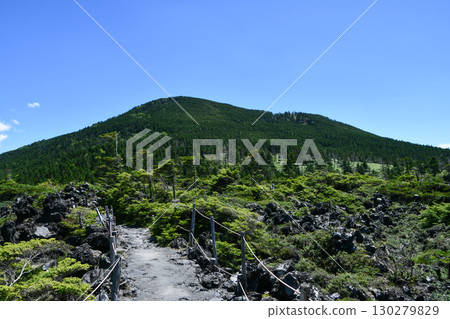 Tsuboniwa Plateau at Mt. Kita-Yatsugatake 130279829