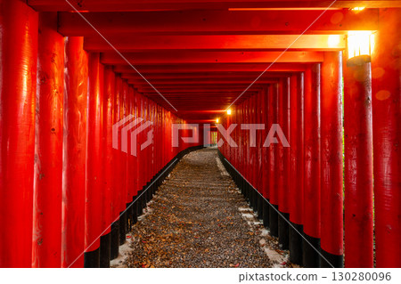 [Kagoshima Prefecture] Jintoku Inari Shrine, famous for its glass torii gates, and Senbon Torii 130280096