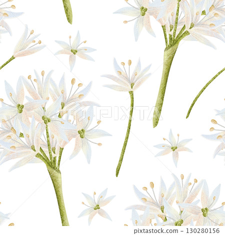 Watercolor white flowers bouquet seamless pattern. Simple pastel wildflowers with green stems repeat background. Delicate spring floral drawing for wedding designs 130280156