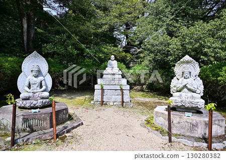 滋賀縣三井寺(園城寺)2024年春季 滋賀縣三井寺(園城寺)2024年春季 130280382