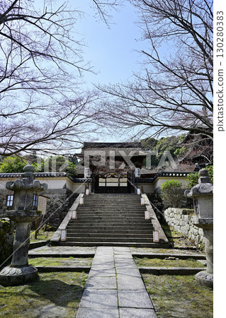 Shiga Prefecture, Mii-dera Temple (Onjo-ji Temple) Spring 2024 130280383