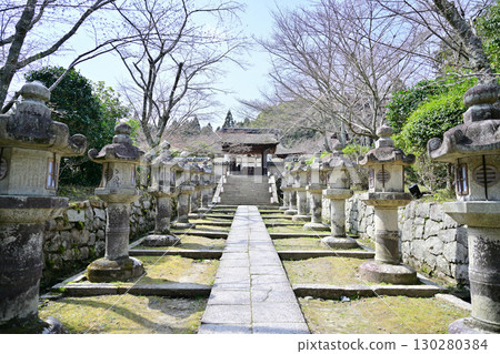 Shiga Prefecture, Mii-dera Temple (Onjo-ji Temple) Spring 2024 Shiga Prefecture, Mii-dera Temple (Onjo-ji Temple) Spring 2024 130280384