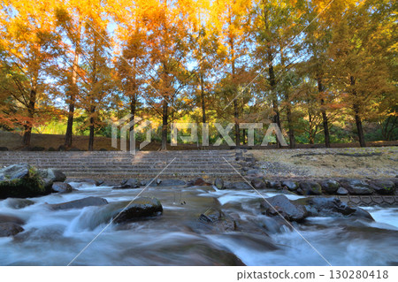 Seiryu Land Seiryu Land 130280418