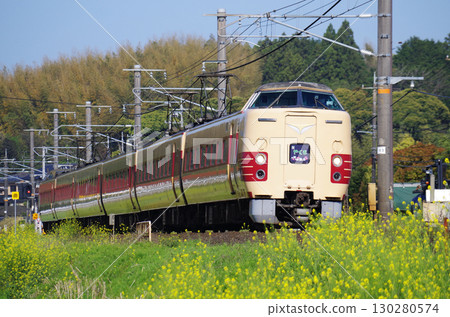 381系列八雲號特快列車以舊日本國家鐵路公司的顏色在山陰本線上疾馳，沿途黃色的油菜花盛開。 130280574