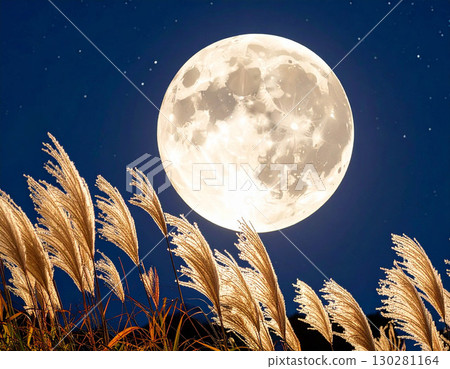 The harvest moon shining in the night sky and ears of silver grass swaying in the wind 130281164