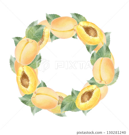 This watercolor apricot wreath is hand drawn and consists of an apricot, half an apricot and leaves. Isolated on white background. Suitable for food design and printing. 130281240
