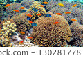 Vibrant Coral Reef Life with Colorful Fish Under Crystal Clear Water 130281778