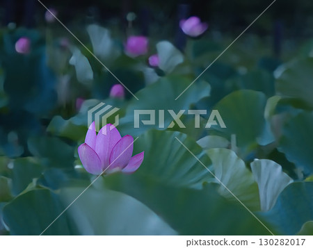 Landscape with lotus flowers 130282017