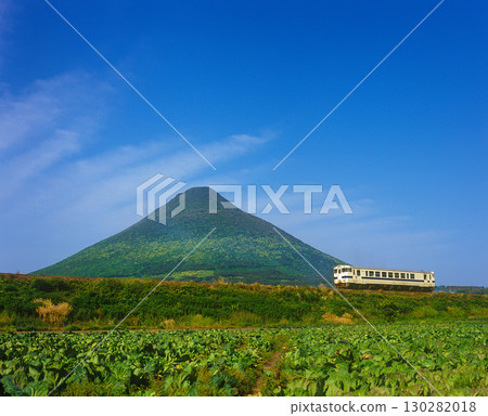 A local train running with Mt. Kaimon in the background in early summer A local train running with Mt. Kaimon in the background in early summer 130282018