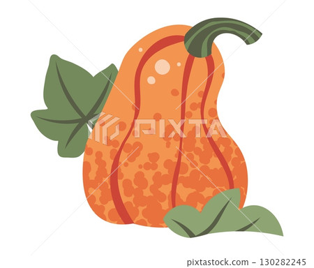 Orange Pumpkin Flat Vector Illustration Isolated on White. Autumn Thanksgiving Vegetable for Seasonal Decor, Holiday Packaging, Harvest Festival, Fall Recipes. Ideal for Food Branding, Poster, sticker Orange Pumpkin Flat Vector Illustration Isolated on White. Autumn Thanksgiving Vegetable for Seasonal Decor, Holiday Packaging, Harvest Festival, Fall Recipes. Ideal for Food Branding, Poster, sticker 130282245