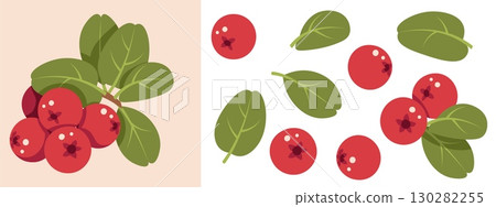 Lingonberry Design Elements Set Flat Vector Illustration. Berries and Leaves Isolated on White. Ideal for Scandinavian Themes, Autumn Decor, Eco Branding, Pattern, Print, Card Making, Poster, Sticker 130282255