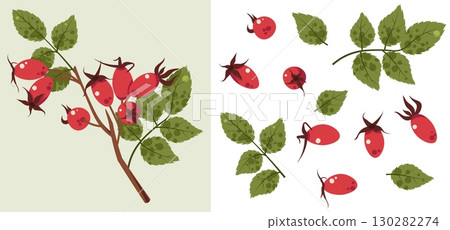 Rosehip Branch Flat Vector Isolated. Illustration with Berries and Leaves. Botanical Design for Stickers, Greeting Cards, Posters, Textile Patterns. Ideal for Nature Themes, Eco-Friendly Branding 130282274
