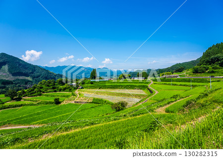 栃又梯田川之堀梯田的新綠（宮崎縣西臼杵郡高千穗町） 130282315