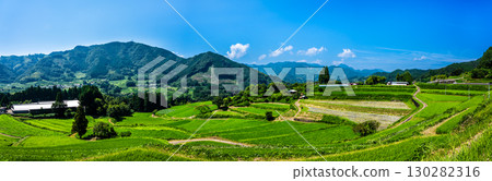 川登梯田與栃又梯田的全景，綠意盎然 [宮崎縣西臼杵郡高千穗町] 130282316
