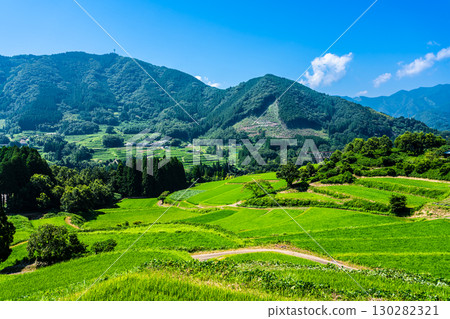 栃又梯田川之堀梯田的新綠（宮崎縣西臼杵郡高千穗町） 130282321