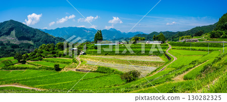 川登梯田與栃又梯田的全景，綠意盎然 [宮崎縣西臼杵郡高千穗町] 130282325