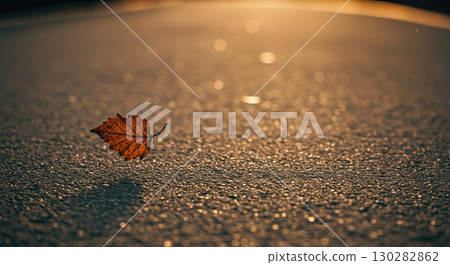 Lonely autumn leaf rests on textured ground. A lonely symbol of seasons end 130282862