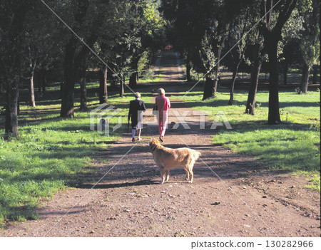 Old street in Rome A woman walking her dog in the park Old street in Rome A woman walking her dog in the park 130282966