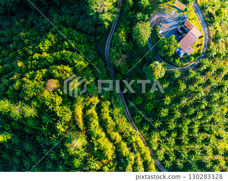 High angle view mountains rainforest green background High angle view mountains rainforest green background 130283328
