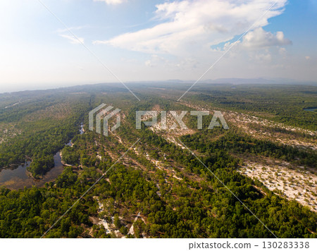 White samet or cajuput trees in wetlands forest at koh prathong island,Phang nga Thailand,Greenery botanic forest,Drone wide angle lens White samet or cajuput trees in wetlands forest at koh prathong island,Phang nga Thailand,Greenery botanic forest,Drone wide angle lens 130283338