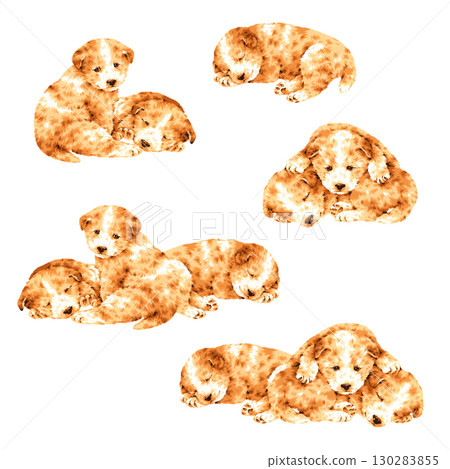 Hand-drawn illustration material of a cute dog, Hand-drawn illustration material of a cute dog, 130283855