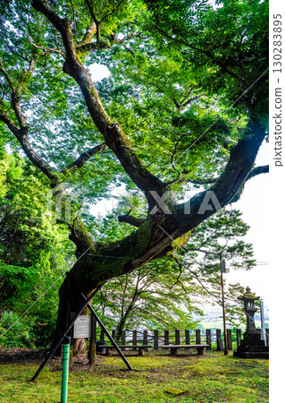 Hinagu Onsen Shrine [Hinagu, Yatsushiro City, Kumamoto Prefecture] 130283895