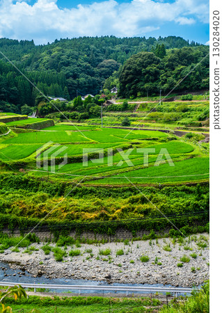 Rice terraces brimming with fresh greenery [Misato Town, Shimomashiki District, Kumamoto Prefecture] 130284020