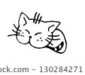 cat  130284271