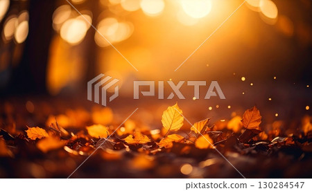 Autumn leaves in the forest and sunlight filtering through the trees 130284547