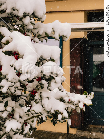 Fresh snow blanketing dark green leaves and vibrant red berries of holly bush during gentle snowfall, with softly blurred building providing tranquil backdrop. Soft snowfall covers leaves and berries 130284606
