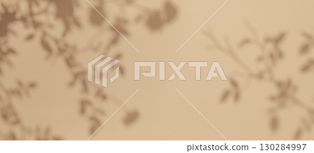 Dreamy Botanical Silhouette Shadow on Soft Beige Background Dreamy Botanical Silhouette Shadow on Soft Beige Background 130284997