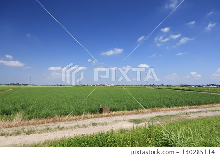 Rural scenery in Konosu City, Saitama Prefecture 130285114