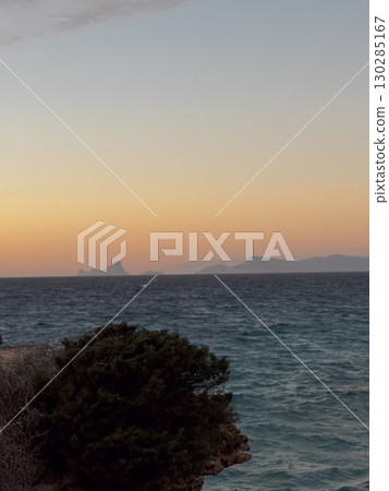 Coastal tree silhouette at sunset in Ibiza Coastal tree silhouette at sunset in Ibiza 130285167