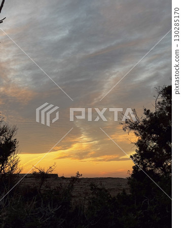 Sunset over coastal trees in Ibiza Sunset over coastal trees in Ibiza 130285170