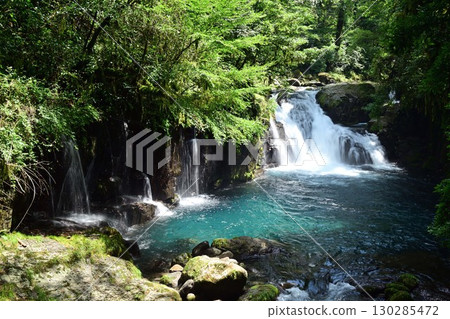 Kikuchi Valley, Tengu Falls and Ryugabuchi 130285472