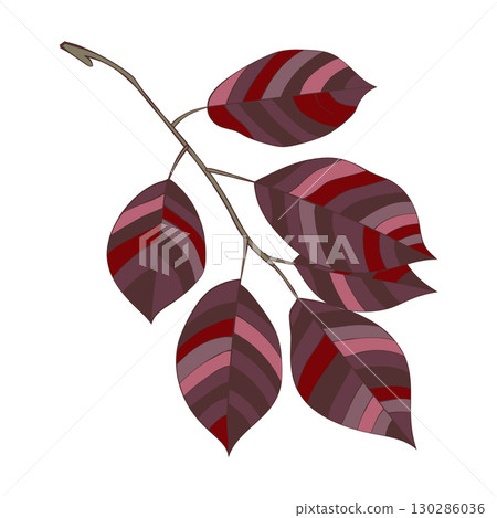 Hand-drawn purple violet autumn colored leaves branch isolated on white background. Flat and line style vector illustration. Hand-drawn purple violet autumn colored leaves branch isolated on white background. Flat and line style vector illustration. 130286036