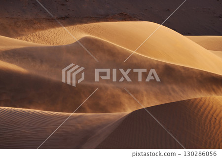 Sandstorm on Golden Sand Dunes at Sunset 130286056