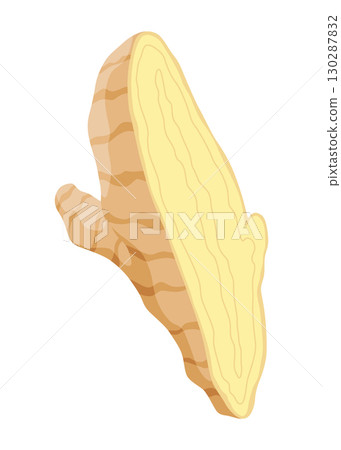 Ginger root. Aromatic herbal spice. Food ingredient, natural herb plant, sliced. Fresh and raw vegetable in cartoon flat style. Vector illustration isolated on white background Ginger root. Aromatic herbal spice. Food ingredient, natural herb plant, sliced. Fresh and raw vegetable in cartoon flat style. Vector illustration isolated on white background 130287832