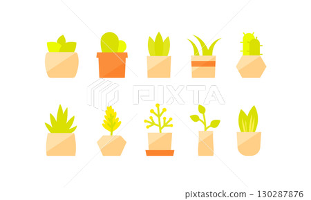 Various mini flower pots 130287876