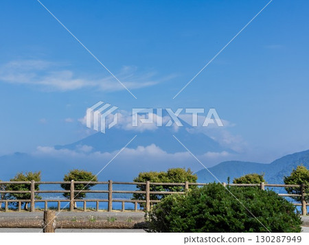 The majestic Mount Fuji floating in the blue sky 130287949