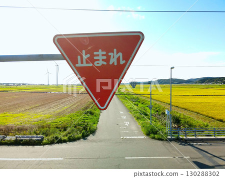 Photographing a landscape with road signs in Hokkaido in autumn 130288302