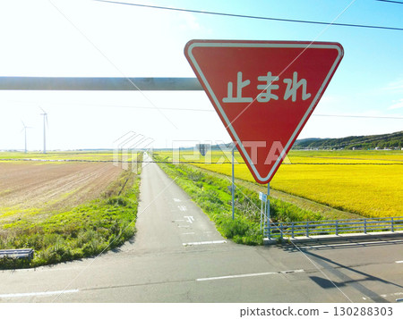 Photographing a landscape with road signs in Hokkaido in autumn 130288303