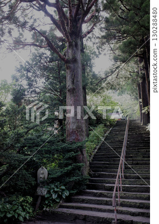 Tottori Prefecture: Daisenji Temple Approach and Tomyo Cedar Tottori Prefecture: Daisenji Temple Approach and Tomyo Cedar 130288480