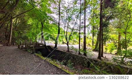 Kokeizan Eihoji Temple in Tajimi City, Gifu Prefecture 130288622