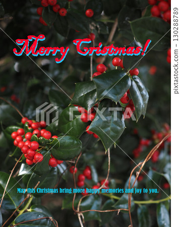 Merry Christmas! 130288789