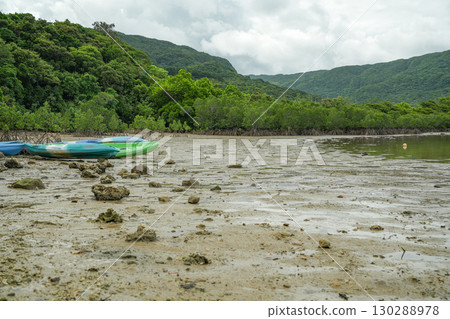 Okinawa Prefecture, Iriomote Island, Funaura Bay 130288978