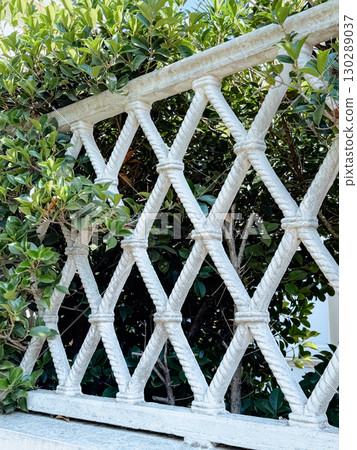 Lattice fence with intricate design seen alongside lush green plants in a garden setting. The combination highlights natural beauty and blends man-made and organic elements gracefully. Lattice fence with intricate design seen alongside lush green plants in a garden setting. The combination highlights natural beauty and blends man-made and organic elements gracefully. 130289037