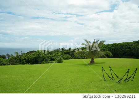 Okinawa Prefecture, Iriomote Island, Uehara 130289211