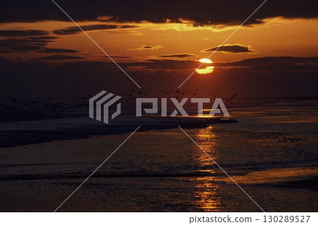 Mysteries of the Pacific 130289527